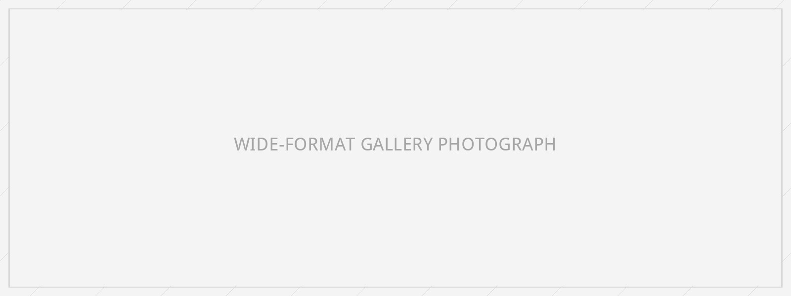 Wide gallery placeholder