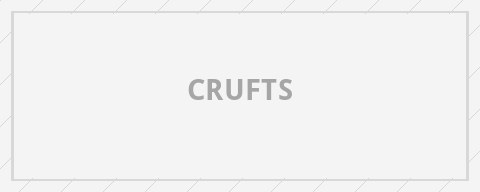 Crufts logo placeholder