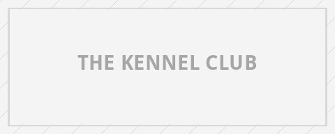 The Kennel Club logo placeholder