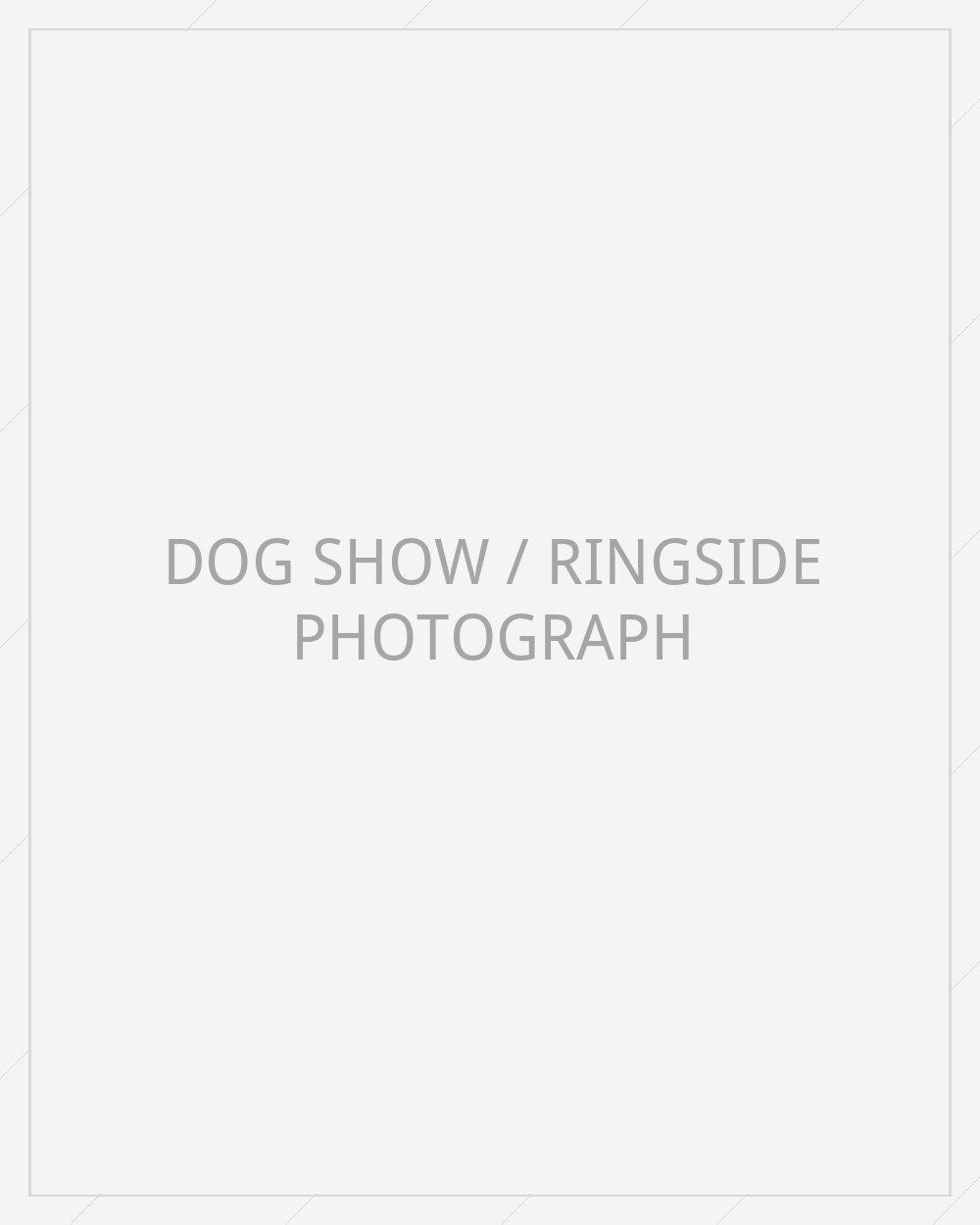 Dog show placeholder
